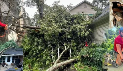 Georgia Tree Masters Cartersville, GA 24:7 ermergency tree