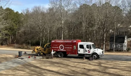debris haul tree cartersville ga