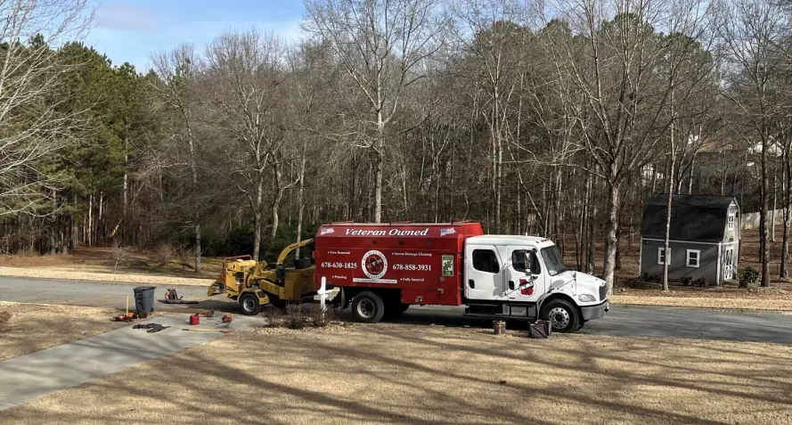 debris haul tree cartersville ga debris haul tree cartersville ga