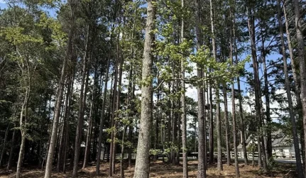 hunting land manage cartersville ga