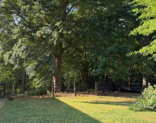 land clearing management cartersville ga