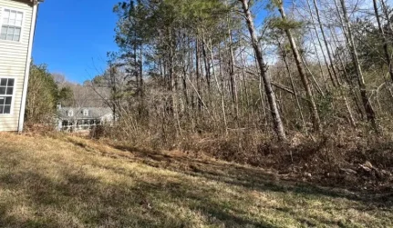 overgrown bushy property cartersville ga