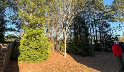 tree inspect services cartersville ga