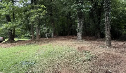 underbrush clear services cartersville ga