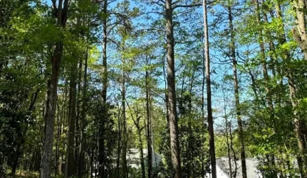 wildlife habitat improve cartersville ga